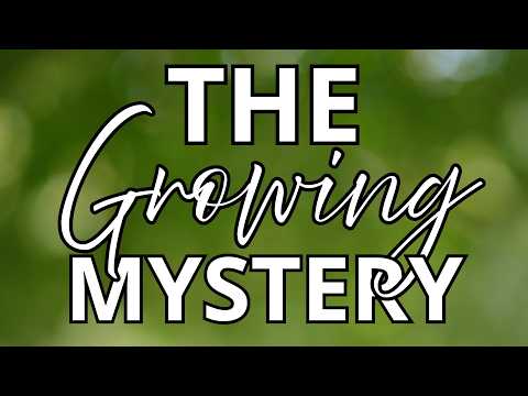 sermon thumbnail